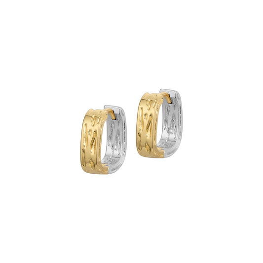 Dvita Earrings