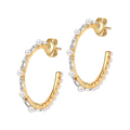 Brooke Earrings - Gold