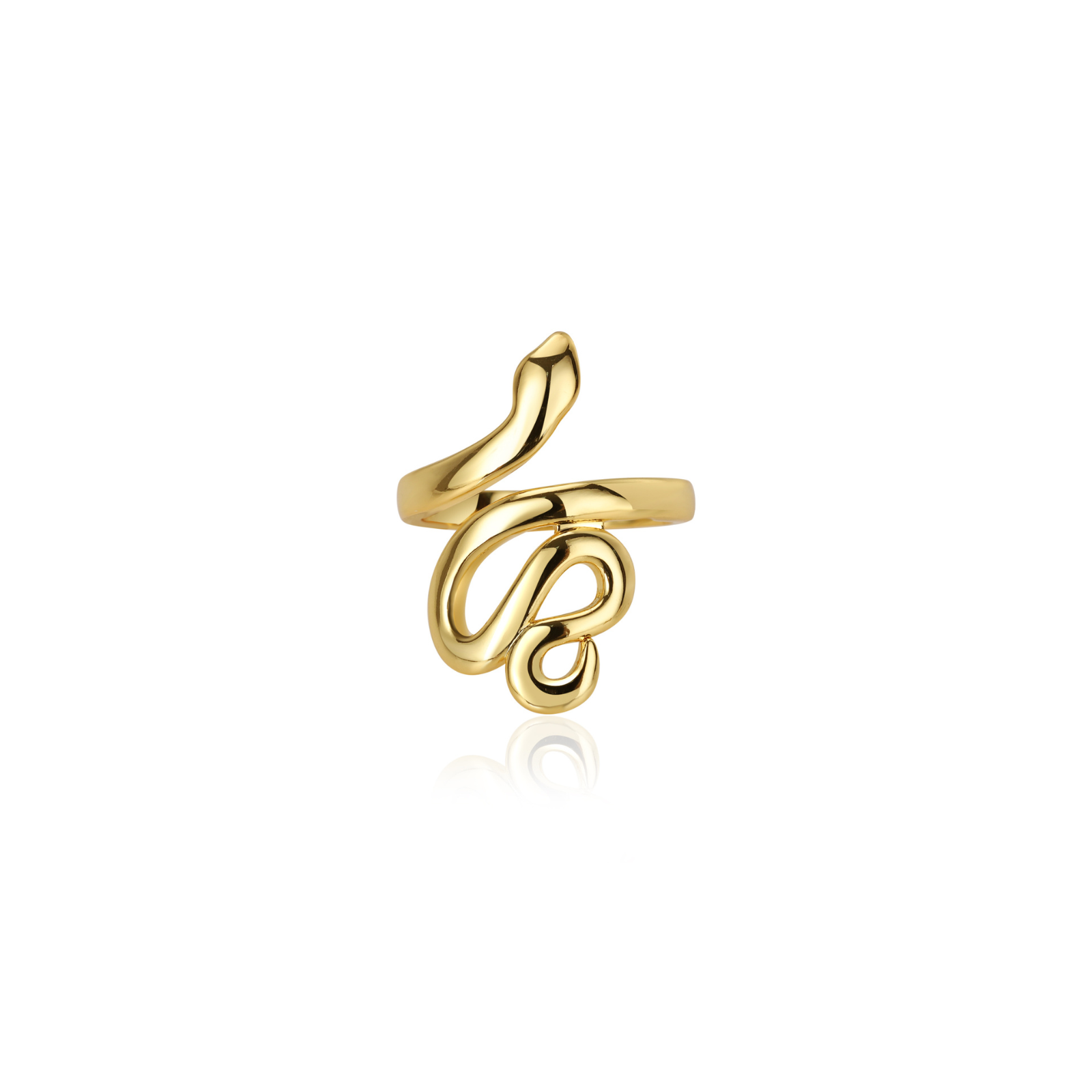 The Infinity Truth Ring